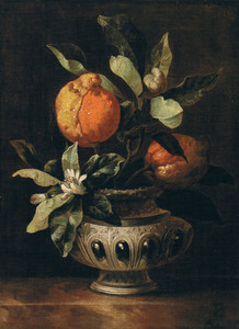 Click photo for more details