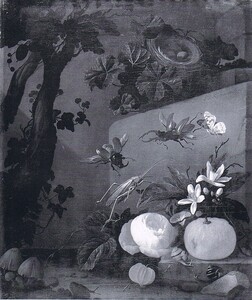 Click photo for more details