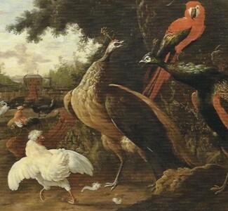 Click photo for more details