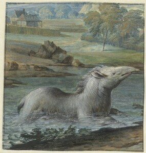 Click photo for more details