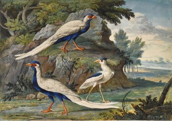 Click photo for more details