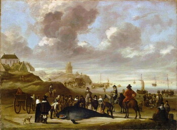 Click photo for more details