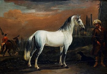 Click photo for more details