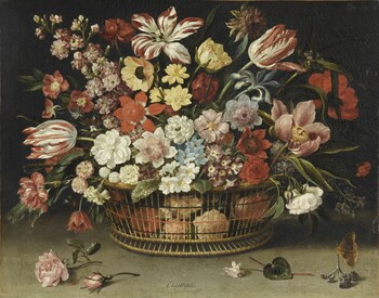 Click photo for more details