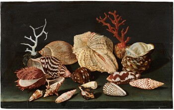 Click photo for more details