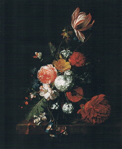 Click photo for more details