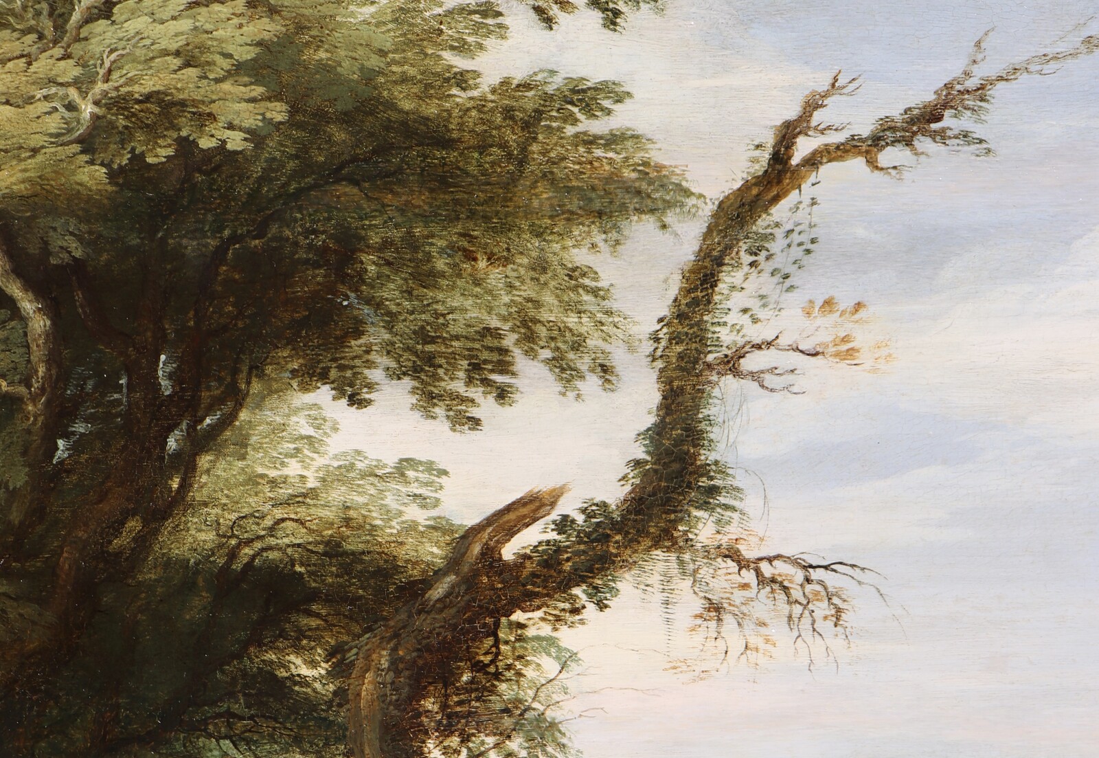 A falconer in a partly wooded landscape