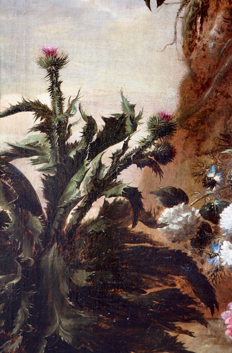 A forest floor with a thistle, a flowered jug and two frogs