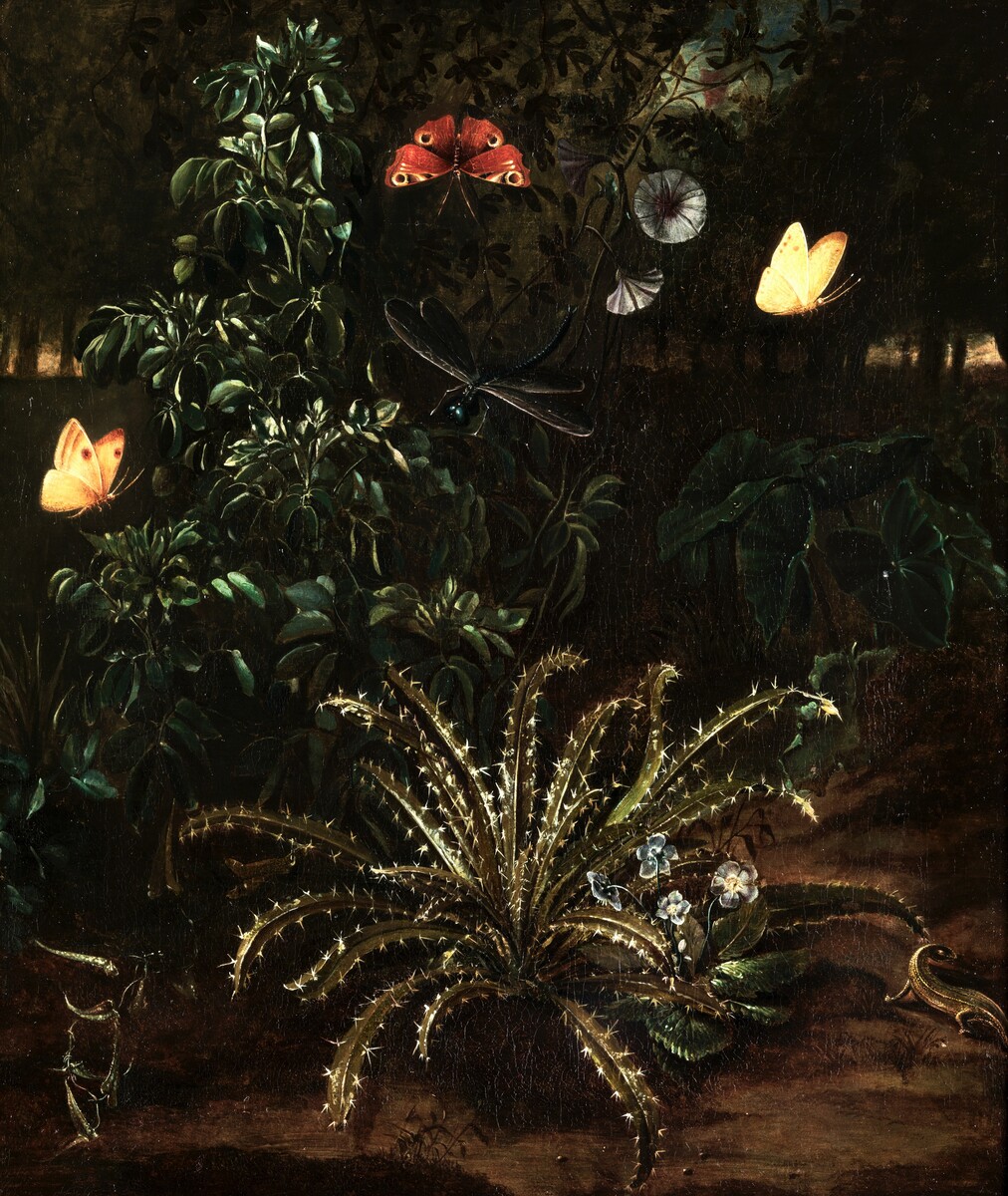 A forest floor with butterflies, a drgonfly and a lizard