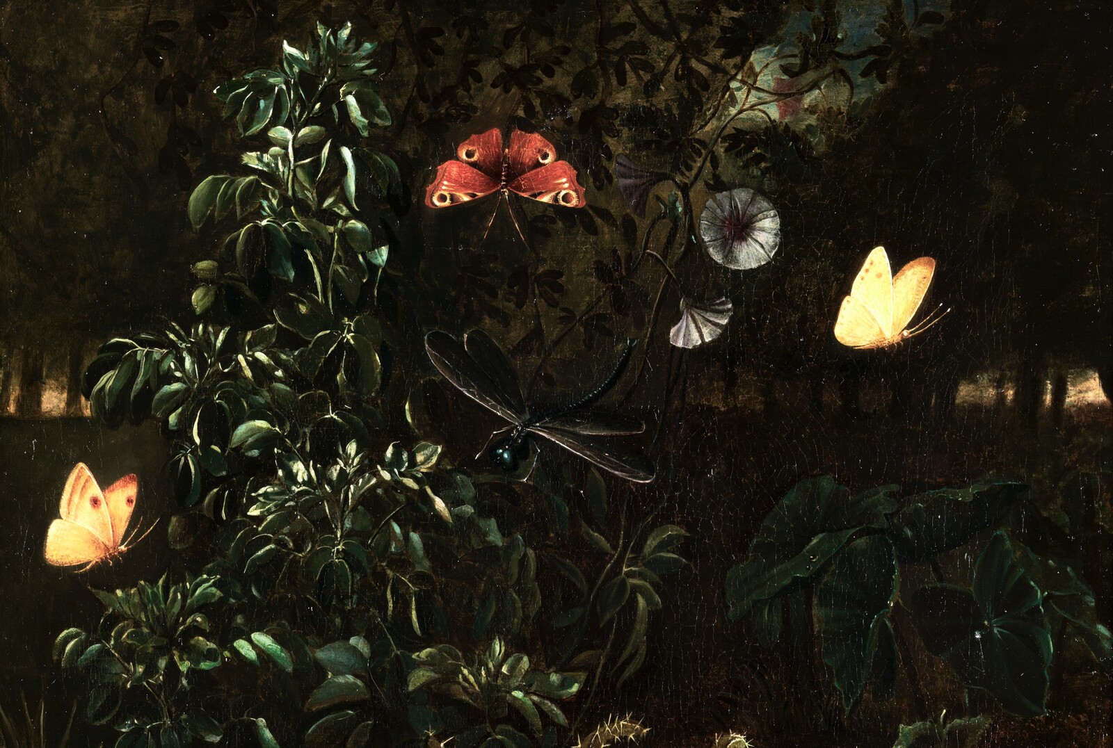 A forest floor with butterflies, a drgonfly and a lizard