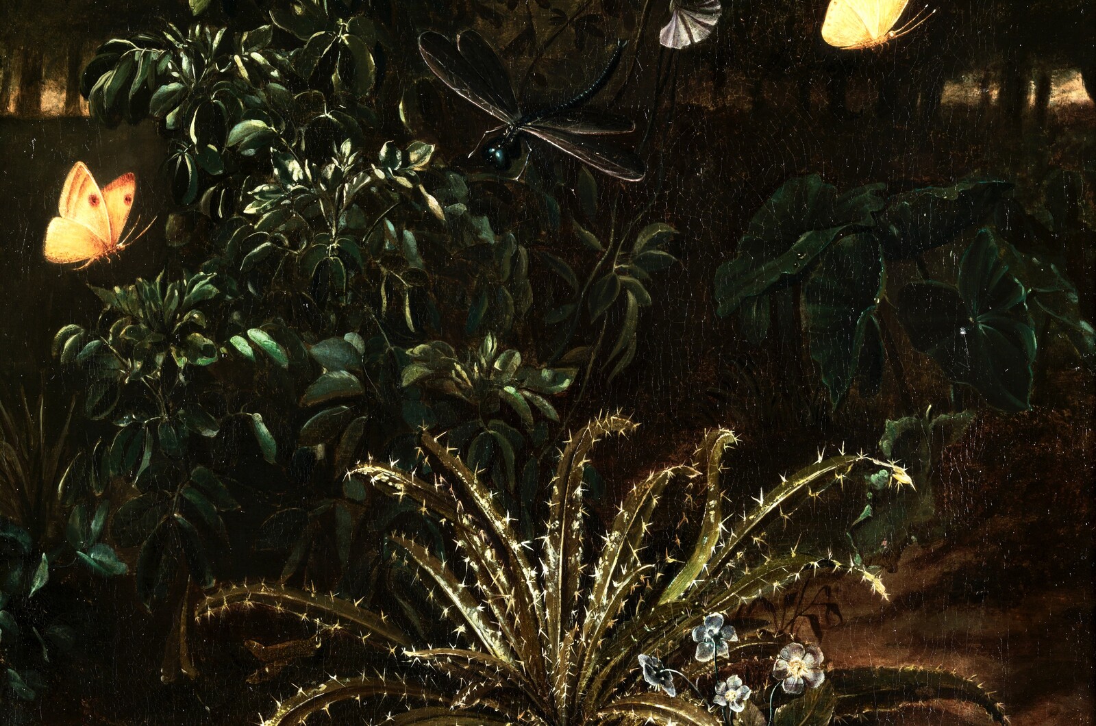 A forest floor with butterflies, a drgonfly and a lizard