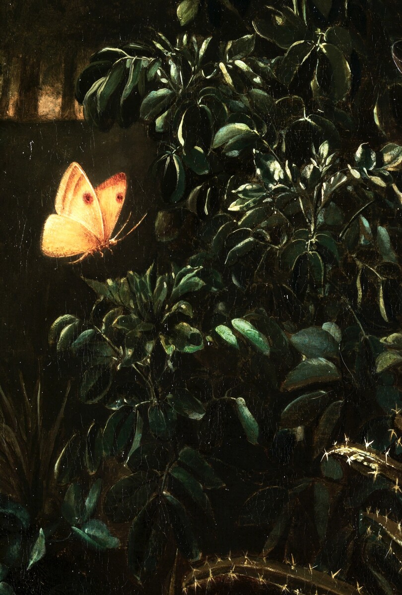 A forest floor with butterflies, a drgonfly and a lizard