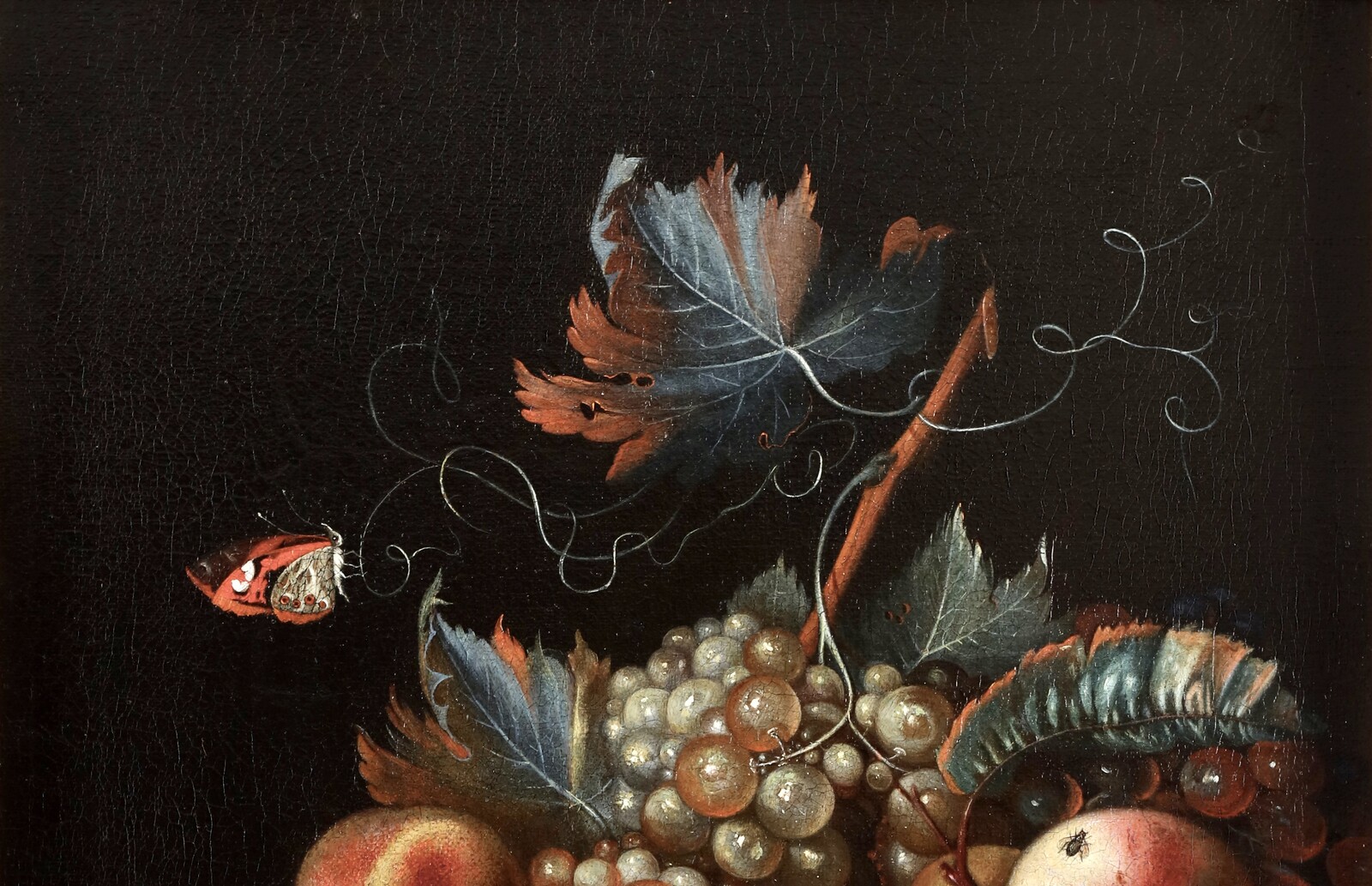 A fruit still life with peaches and grapes, a butterfly and a fly