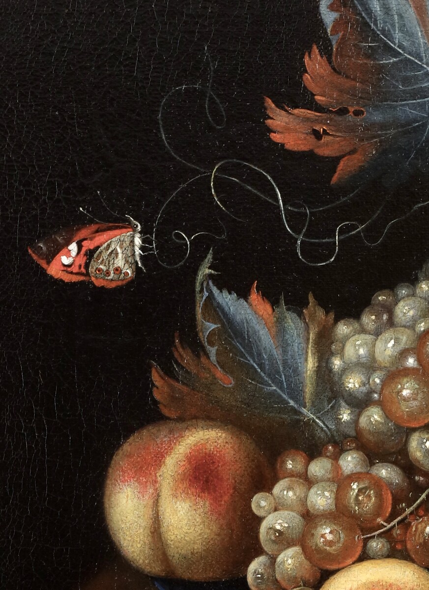 A fruit still life with peaches and grapes, a butterfly and a fly