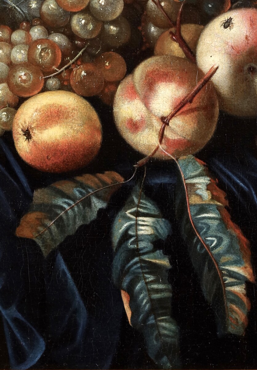 A fruit still life with peaches and grapes, a butterfly and a fly