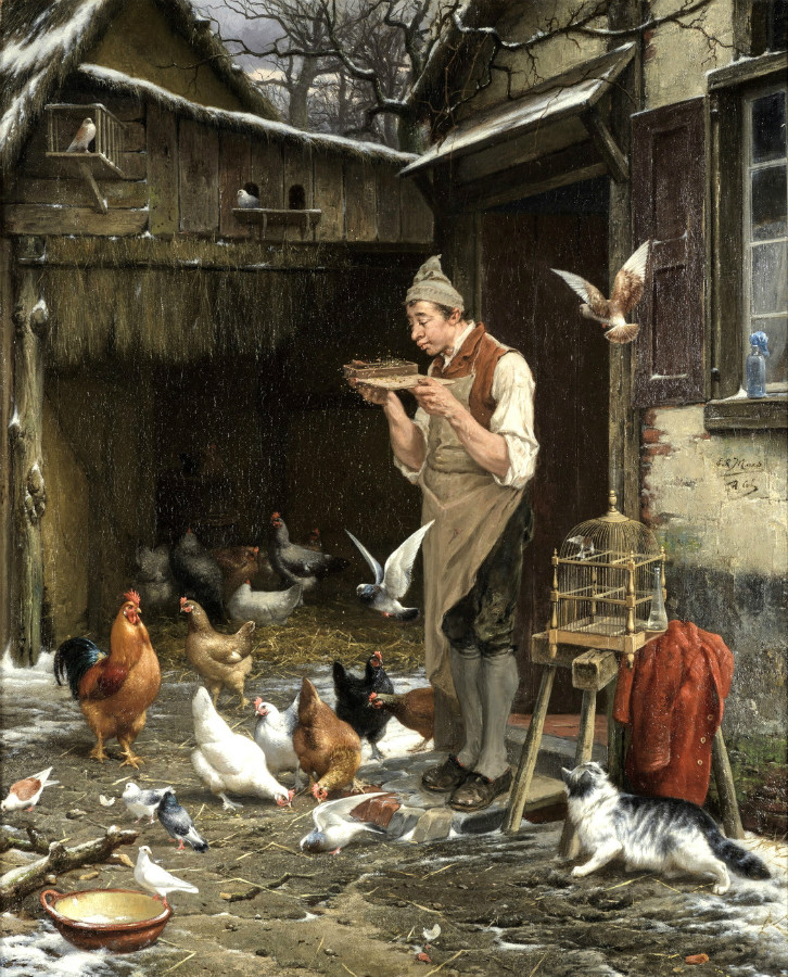 A man feeding his chickens and doves