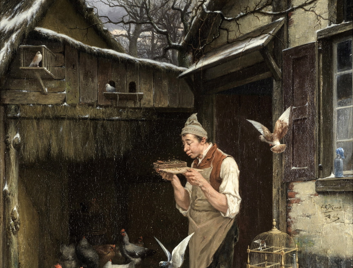 A man feeding his chickens and doves
