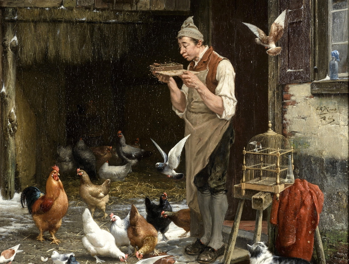 A man feeding his chickens and doves