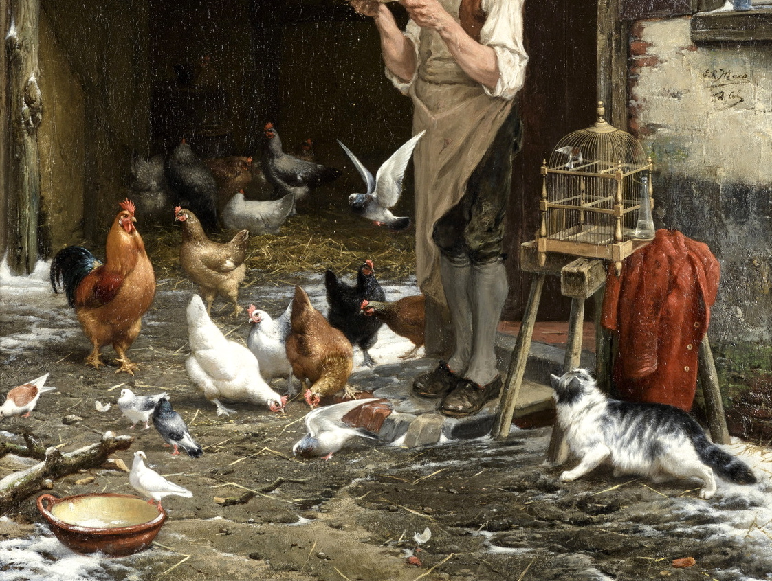 A man feeding his chickens and doves