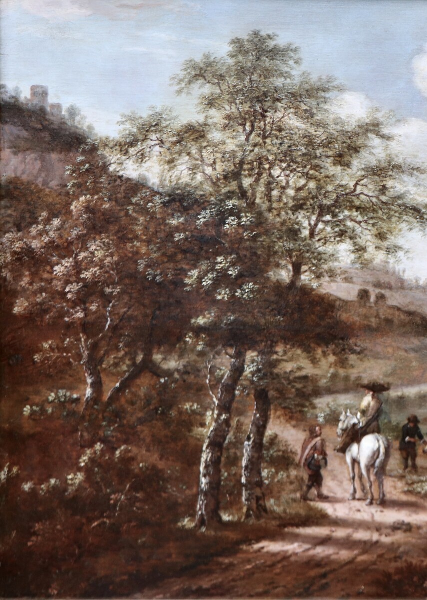 A panoramic Rhine landscape
