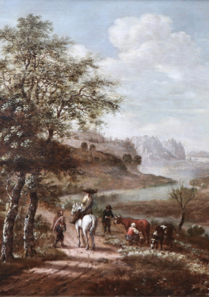 A panoramic Rhine landscape