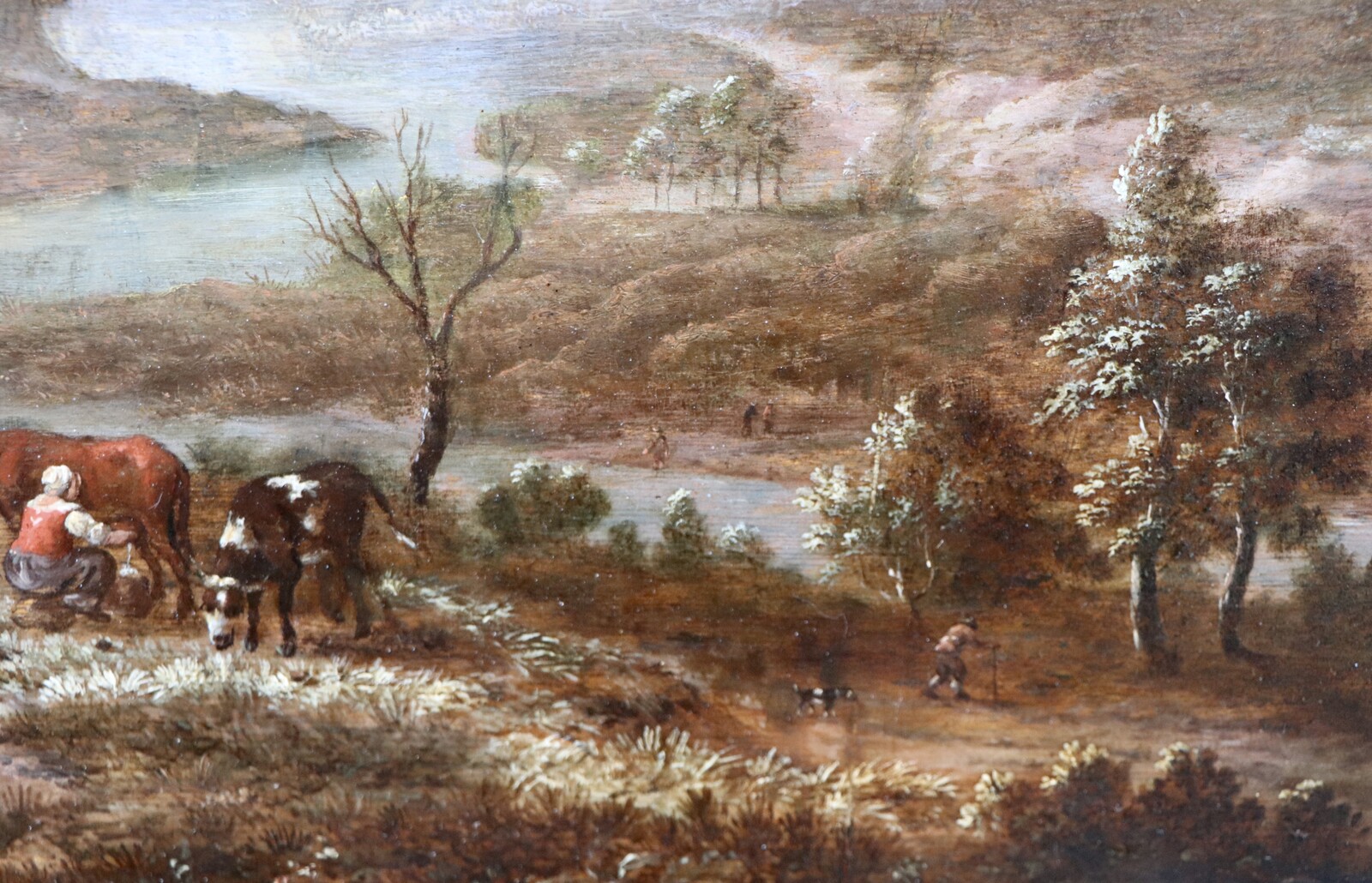 A panoramic Rhine landscape