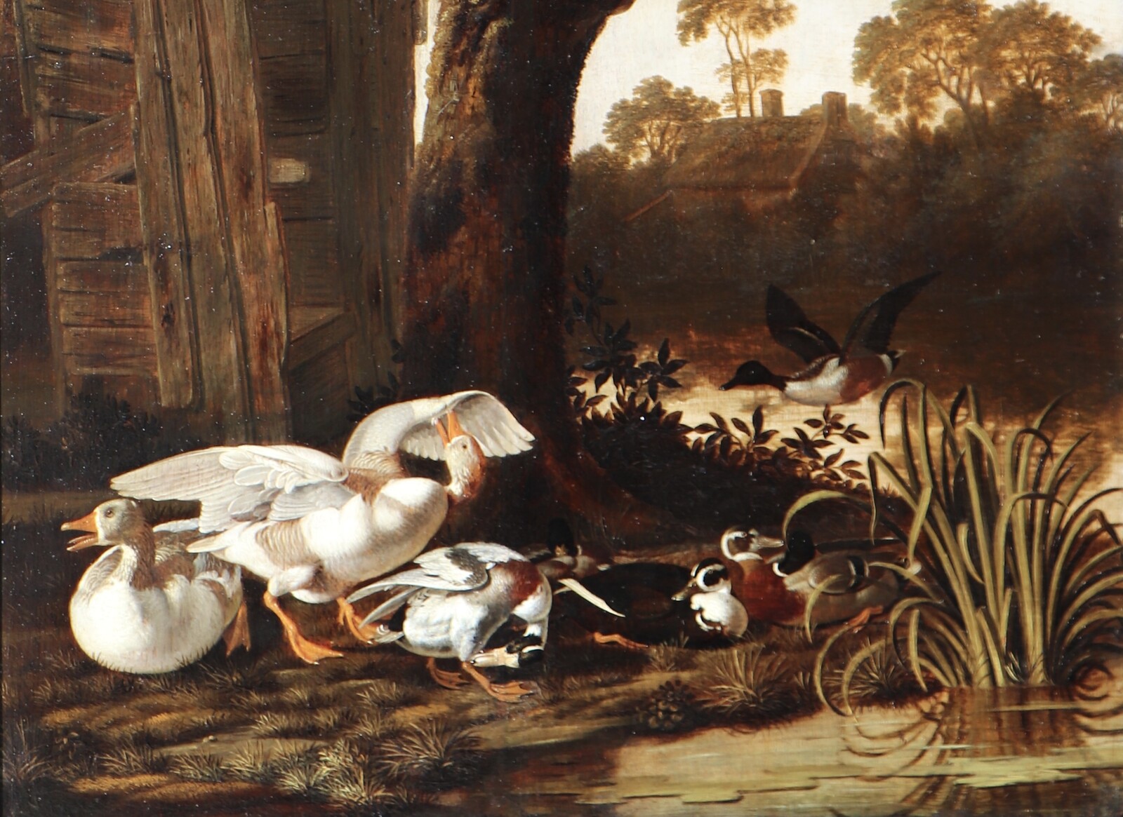 Ducks resting - Wijntrack, Dirck, dec. 2022 - Still lifes and animal ...