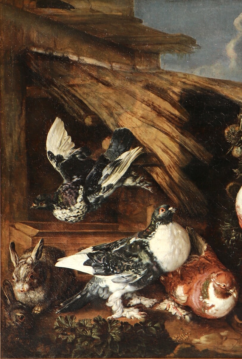 Four pigeons and two rabbits against an Italianate background