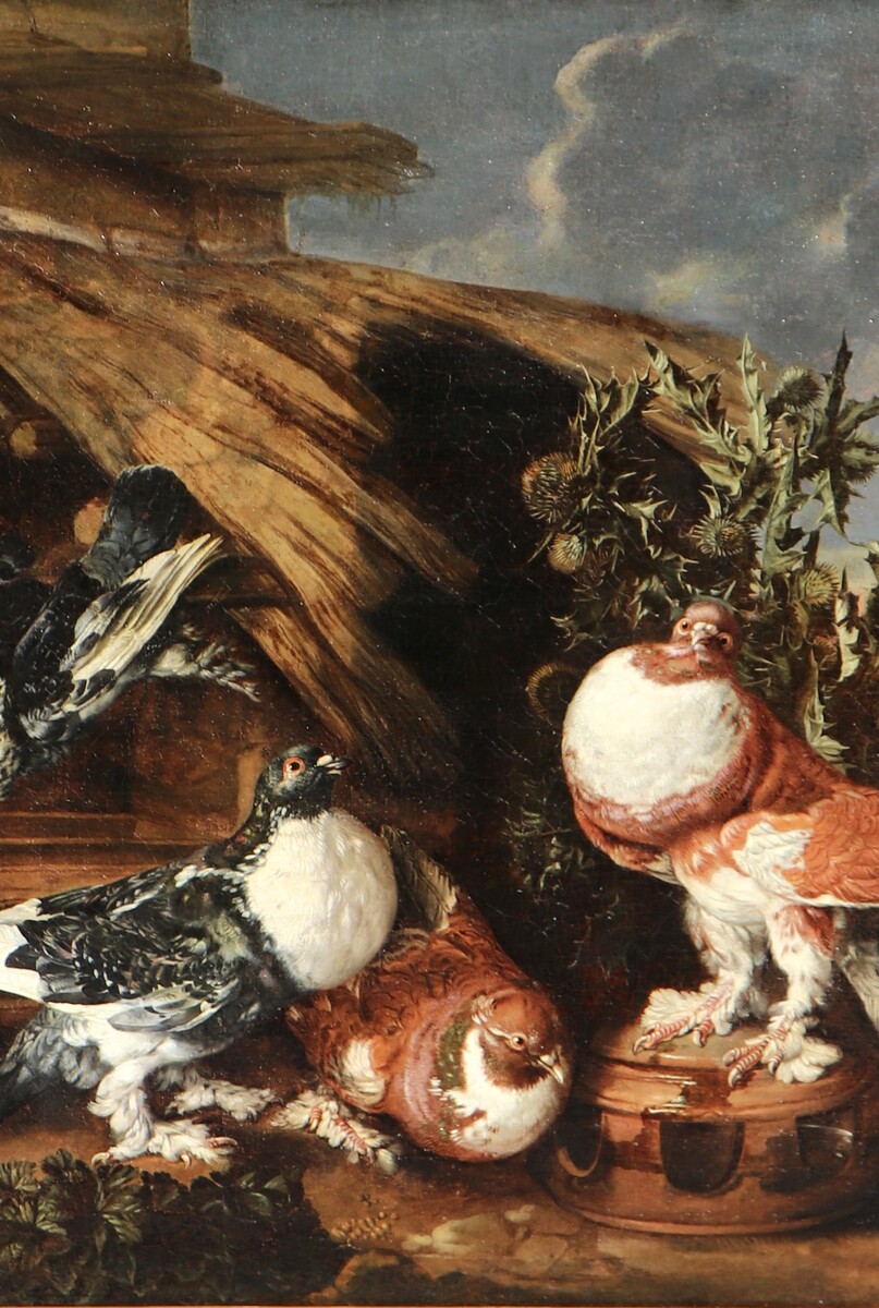 Four pigeons and two rabbits against an Italianate background