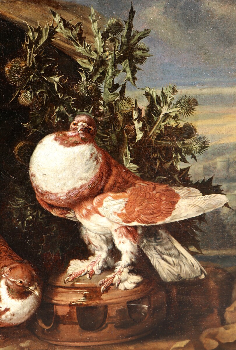 Four pigeons and two rabbits against an Italianate background
