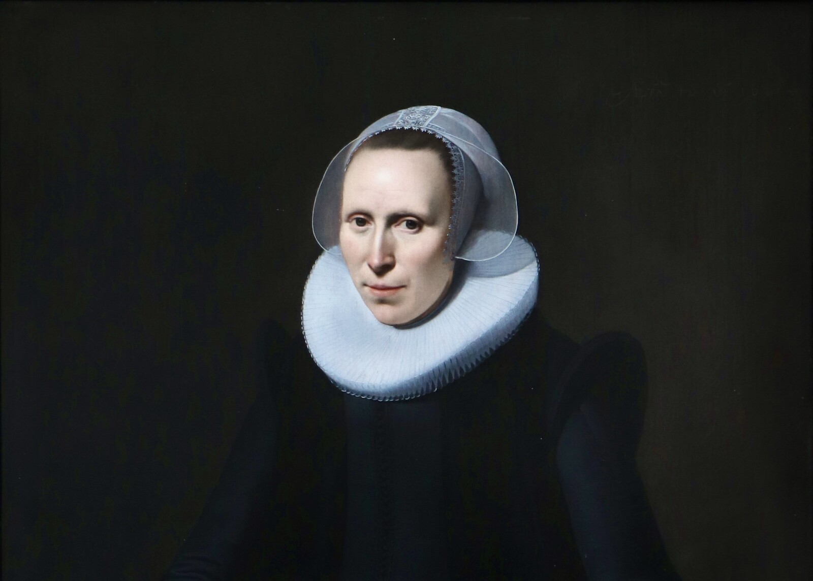 Portrait of a lady 