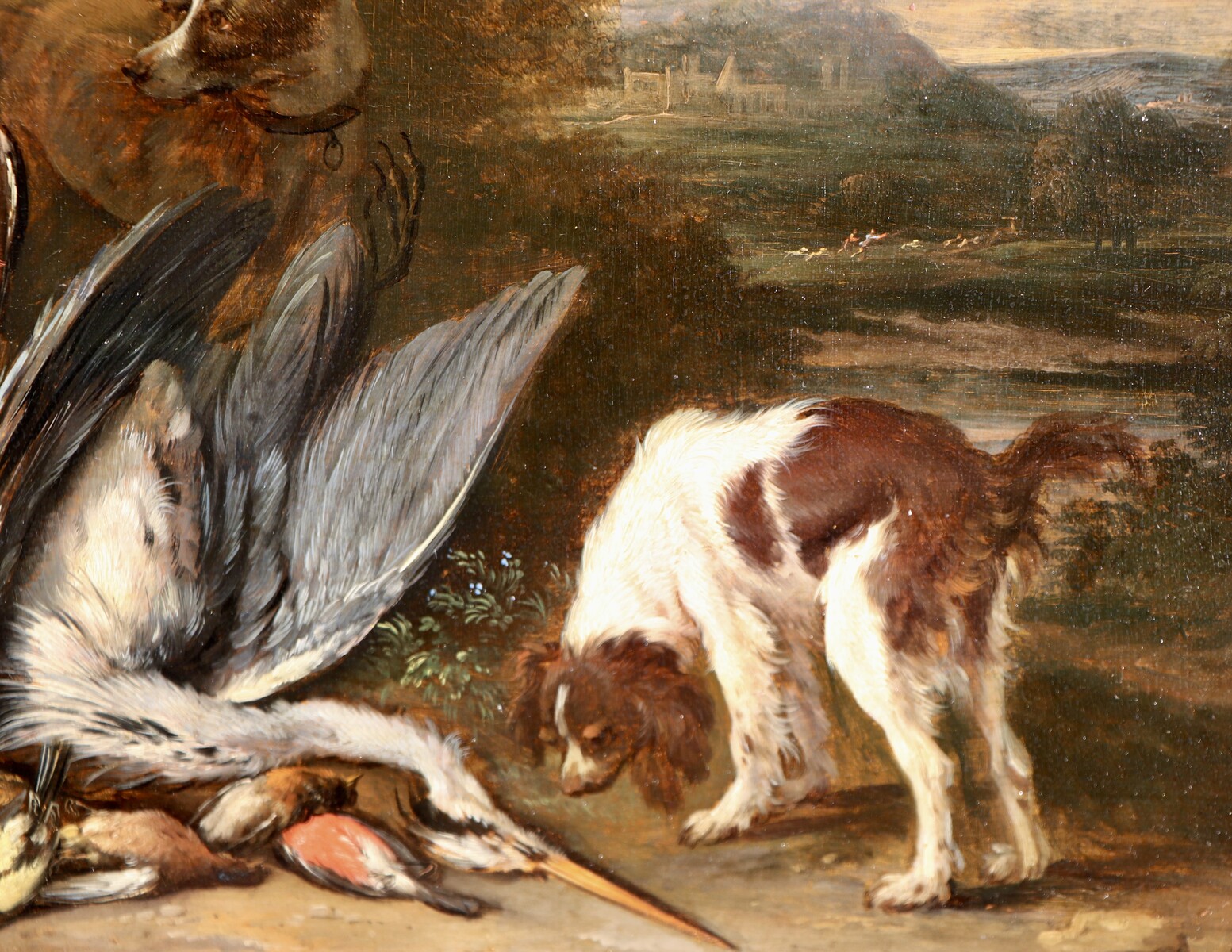 Two dogs guarding the spoils of hunt